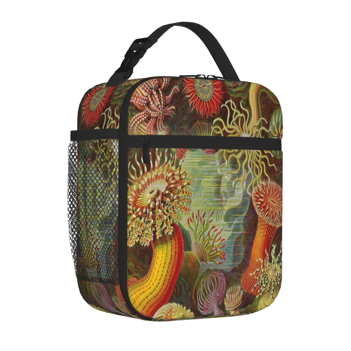 Hot Sale Sea Anemone - Ernst H - đánh giá và giá Meal Prep Diet