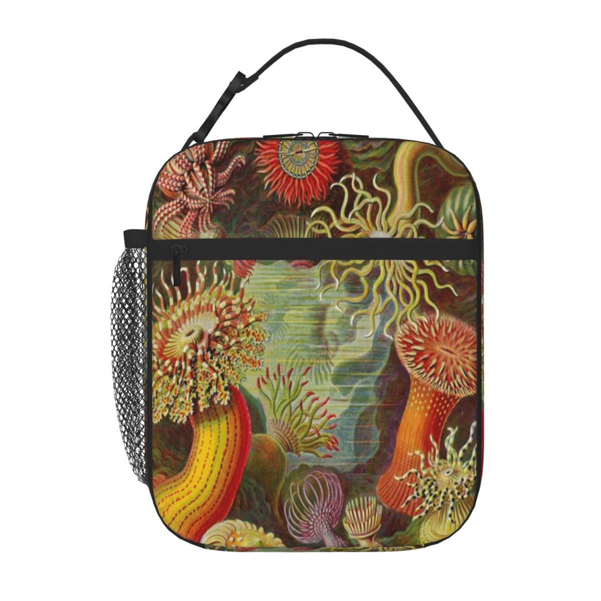 Hot Sale Sea Anemone - Ernst H - đánh giá và giá Meal Prep Diet