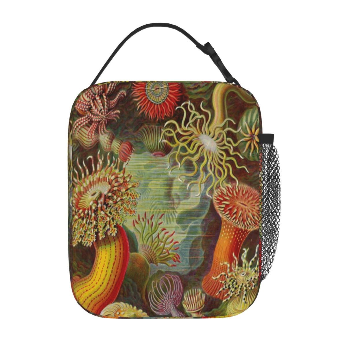 Hot Sale Sea Anemone - Ernst H - đánh giá và giá Meal Prep Diet